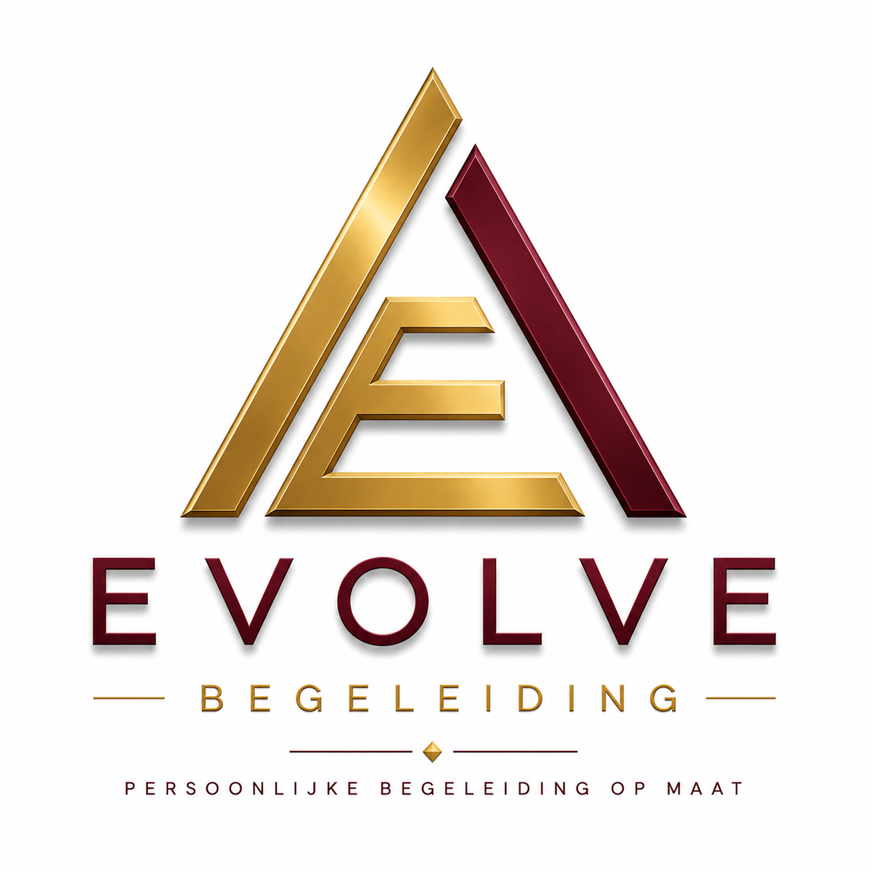 Evolve Begeleiding — Persoonlijke begeleiding op maat